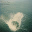 Cover Made The Harbor (10th Anniversary Edition)
