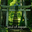 Cover SOUL OF JAPAN (feat. HIMEKAMI)