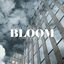 Cover Bloom