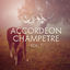 Cover Accordéon Champêtre, Vol. 1