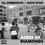 Cover Acres of Diamonds
