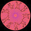 Cover Second Singles