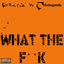 Cover What the F**k (Funkagenda, Kim Fai Maxie Devine and Veerus Remixes;Fatboy Slim vs. Funkagenda)
