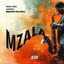 Cover Mzala
