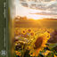 Cover Sunflower Fields