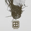 Cover Antipode