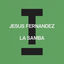 Cover La Samba