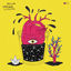 Cover Stargaze