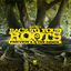 Cover Back to Your Roots