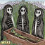 Cover Wake