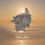 Cover Café del Mar Ibiza Chillout Mix V (DJ Mix)