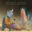 Cover Ziran (Antinomy Remix)