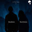 Cover In the Dark