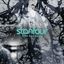 Cover Rise & Fall (New Bonus Version)