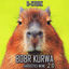 Cover Bobr Kurwa Hardstyle Meme 2.0