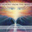 Cover Echoes from the Mist