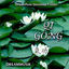 Cover Qi Gong