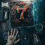 Cover SEVEN.
