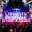 Cover Liquicity Festival 2025