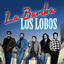 Cover La Bamba