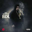 Cover BDL Bi-Polar