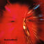 Cover Flesh Balloon