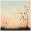 Cover Brise d'été