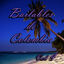 Cover Bailables de Colombia, Vol. 4