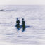 Cover Tu mar
