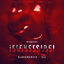 Cover Irreversibel