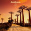 Cover Gasikara