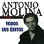 Cover Todos Sus Éxitos: Spanish Flamenco