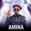 Cover Amina