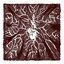 Cover Shade