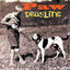 Cover Dragline