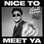 Cover Nice To Meet Ya (Diplo Remix)