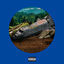 Cover Capitulo 1