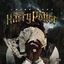 Cover Harry Potter