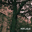 Cover My Jolie