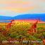 Cover Rainbow