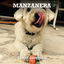 Cover Manzanera
