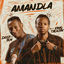 Cover Amandla