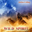 Cover Wild Spirit (Contemporary Native American Music)