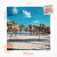 Cover Palm Haven