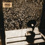 Cover 1900