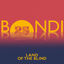 Cover Land Of The Blind (Edit)