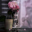 Cover Premier Jardinier