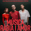 Cover Música, ràbia i amor