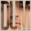 Cover DUM