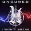 Cover I Won't Break